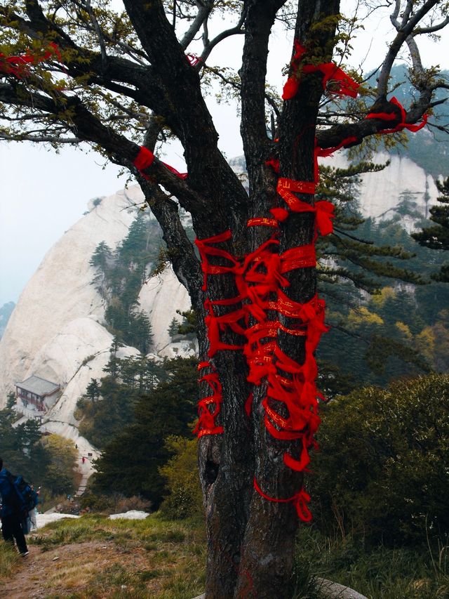 夜爬華山，只為那一抹日出