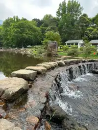 廣東天然氧吧-石門國家森林公園