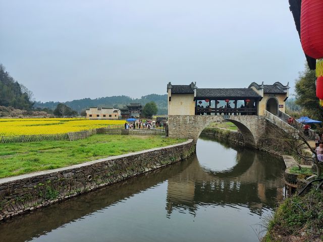 瑤灣花海