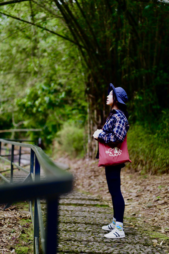 五指山熱帶雨林公園