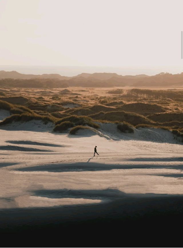 更適合i人的旅行聖地，e人請避讓！