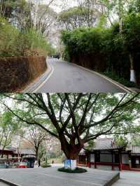 親近自然於德陽最大的郊野公園東湖山公園