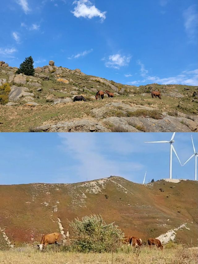 寶藏賞秋山西這條路線是童話裡的秋天