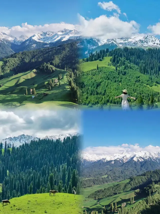 이리에 가다|차시 숲 공원(부록: 간단한 여행 팁)