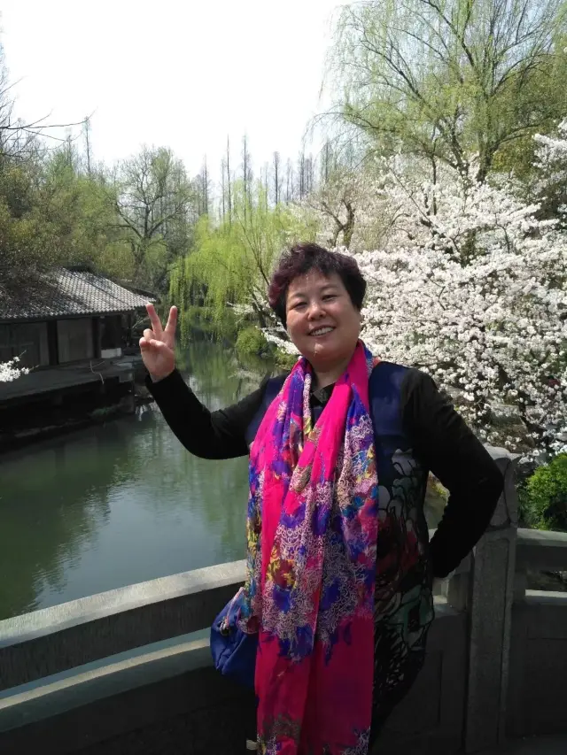 Self-Drive Tour of Jiangnan Flower Viewing (Part 17): Enjoying Cherry Blossoms at Quyuan