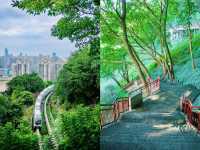 半山崖線步道鬧市裡的森林氧吧