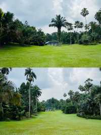 新加坡植物園 - 花園城市的發源地