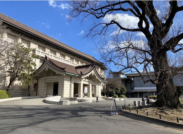 東京丨上野公園