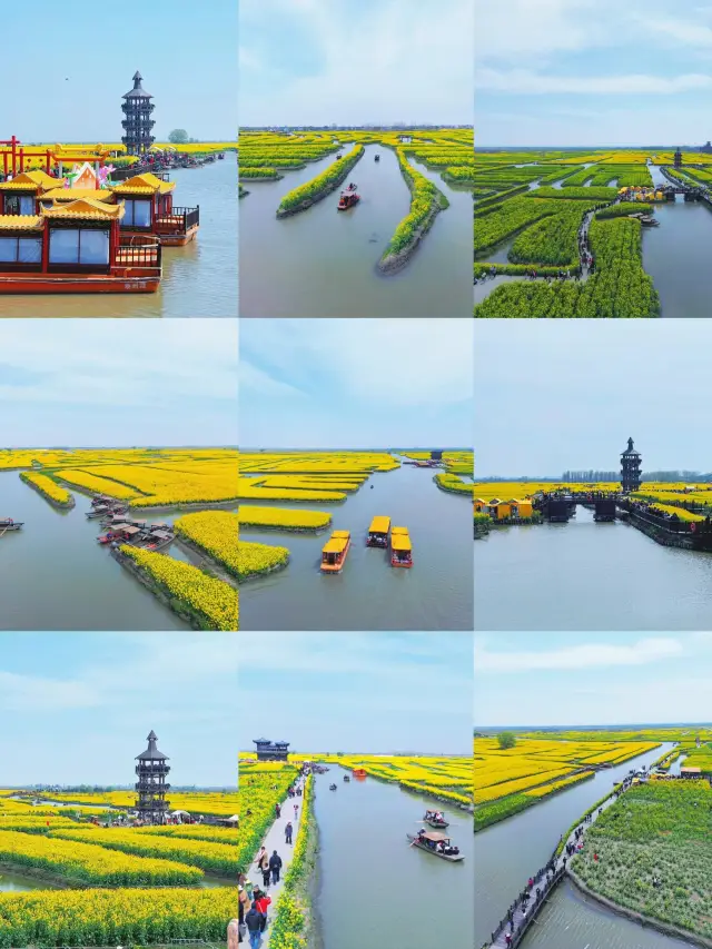 Taizhou's Waterborne Rapeseed Flowers, a springtime spectacle not to be missed!