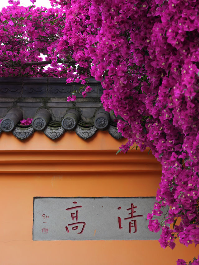 The ancient temple, surrounded by oleanders, on the outskirts of Chengdu remains undiscovered...