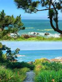 不是國外，是青島  記住這條看海路線