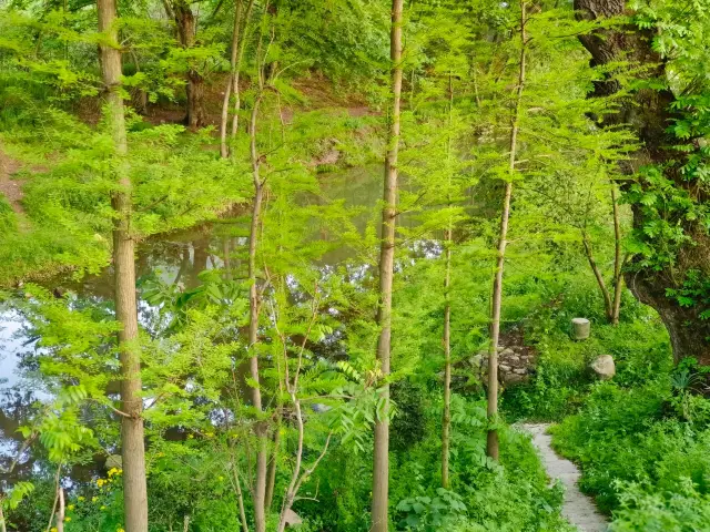 Xinyang, Henan | Lijiachai Chaotian River