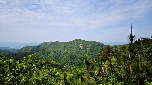 河南信陽 | 新縣金蘭山國家森林公園