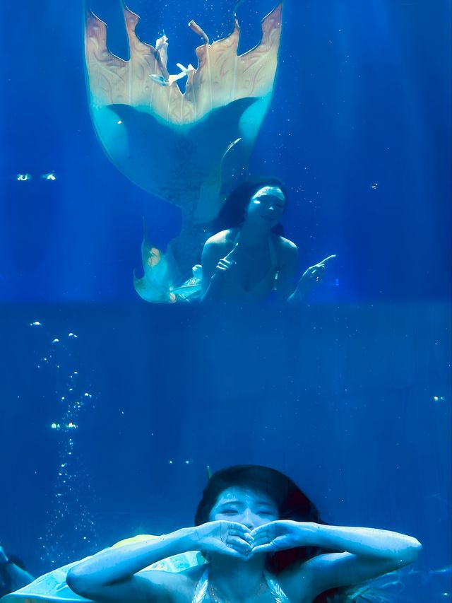 華夏文旅海洋館之旅：歡樂親子時光