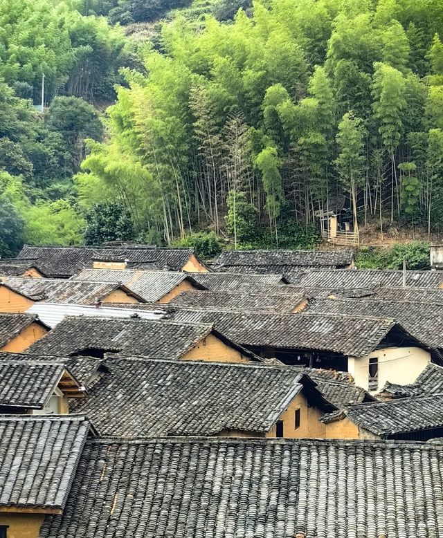 浙江麗水松陽避世古村落