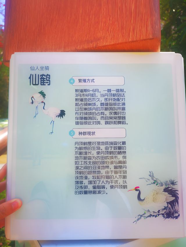 我敢說90%的寶媽還不知道青島這個新晉免費溜娃地