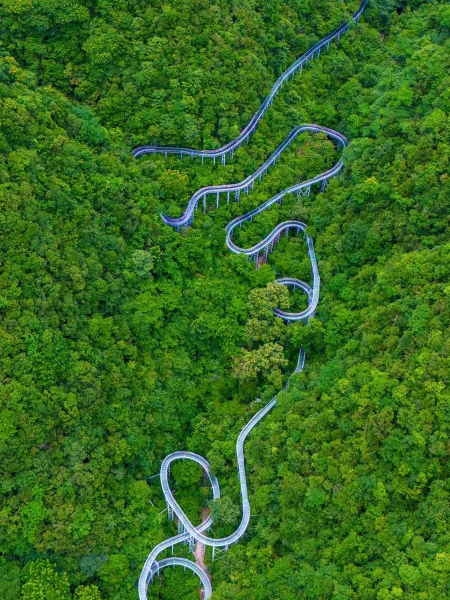 抱歉~我們浙江人爬山都是開飛車