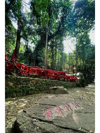 Hainan Qiongzhong Baihualing Tropical Rainforest Cultural Tourism Area, a paradise that lets you forget your worries!