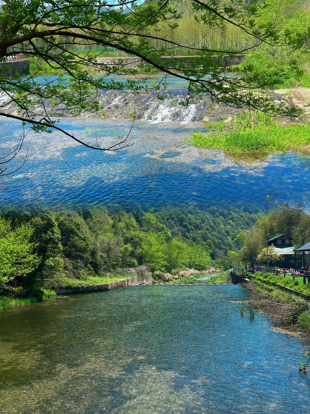 夏天就是要玩水呀人少景美露營地