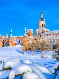 Harbin's Winter Wonders: Ice Castles & Tiger Trails 🐯❄️