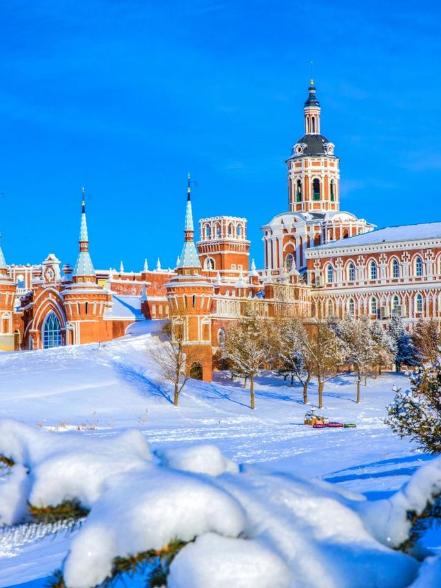 Harbin's Winter Wonders: Ice Castles & Tiger Trails 🐯❄️