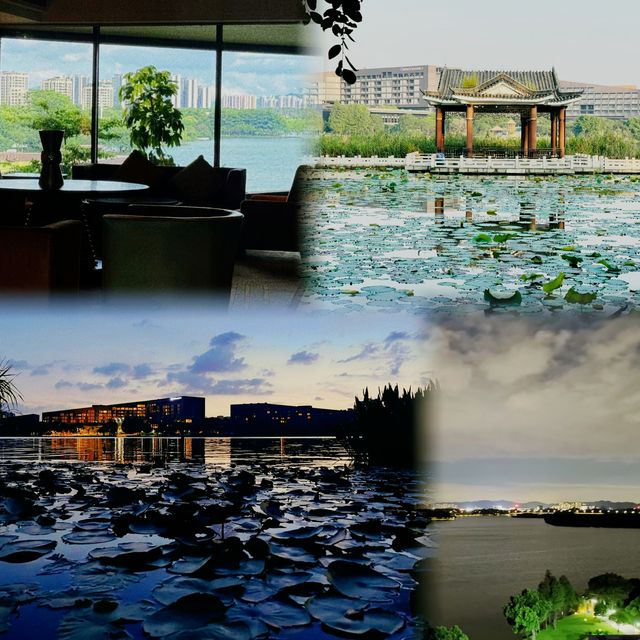 東莞隱藏著一個充滿詩意的旅居之地——松山湖凱悅