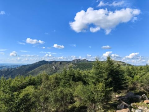 壩上名珠一一沽源