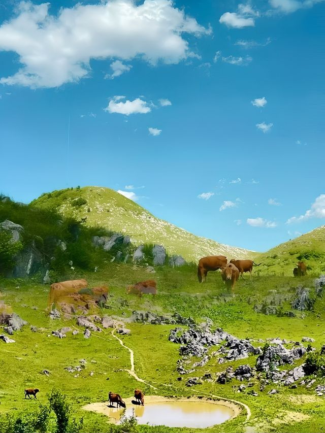北陽山秘境之旅 西安周邊隱世仙境大揭秘！