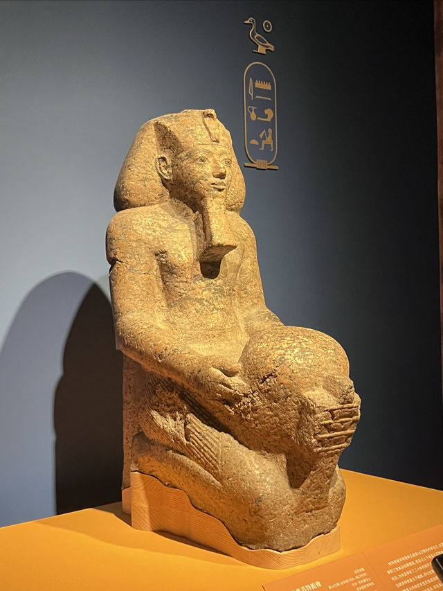 據說是一年內上海必看展覽