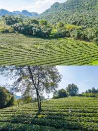 粵圈打工人挑戰每週出去玩第一站：英德