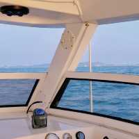 【廈門水上活動】🚤坐遊艇出海，在海上看金門，還有機會偶遇白海豚🐬！