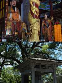 Successor of Han Celestial Master's Mansion: The millennial atmosphere of the ancestral home of Taoism 🏯