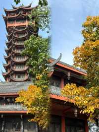 直達成都地鐵,塔子山公園,是個賞秋好去處。