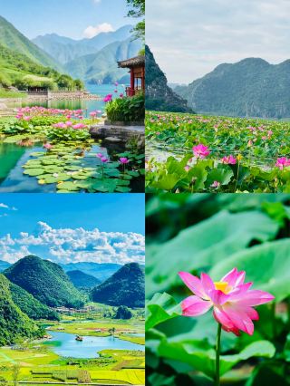 雲南普者黑|被低估的小眾秘境聖地超推薦