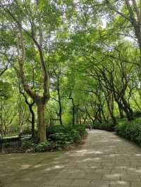 上海青年旅舍森林公園 | 城市中的綠野仙境。