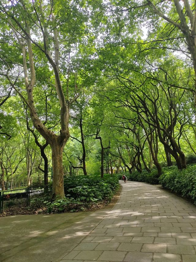 上海青年旅舍森林公園 | 城市中的綠野仙境。 上海青年旅舍森林公園 | 城市中的綠野仙境。