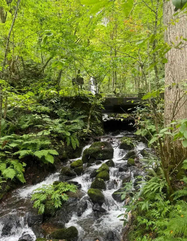 Aomori | A fairy-tale journey.