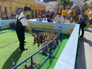 국경절 저비용으로 대몽상성 놀이공원 즐기기.