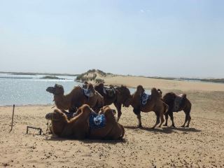 Wuhai Lake, Inner Mongolia travel guide.