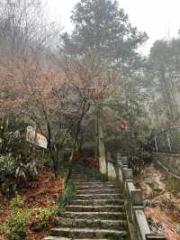 麗水金礦山公園丨黃金之旅。