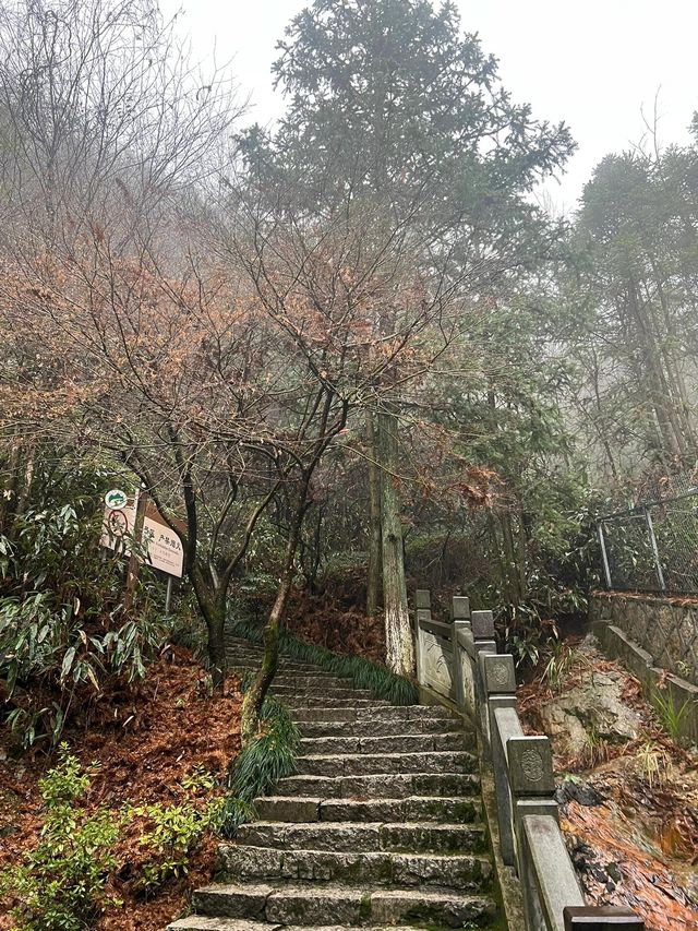 麗水金礦山公園丨黃金之旅。