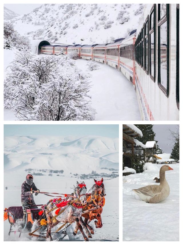 土耳其浪漫之旅。