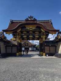 🏯 二條城：歷史與樸雅交織的時光之旅