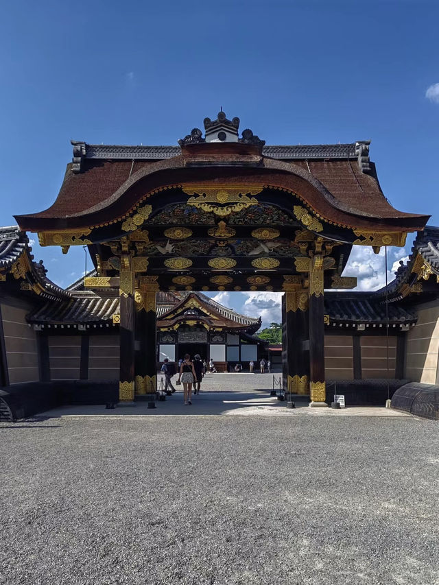 🏯 二條城：歷史與樸雅交織的時光之旅