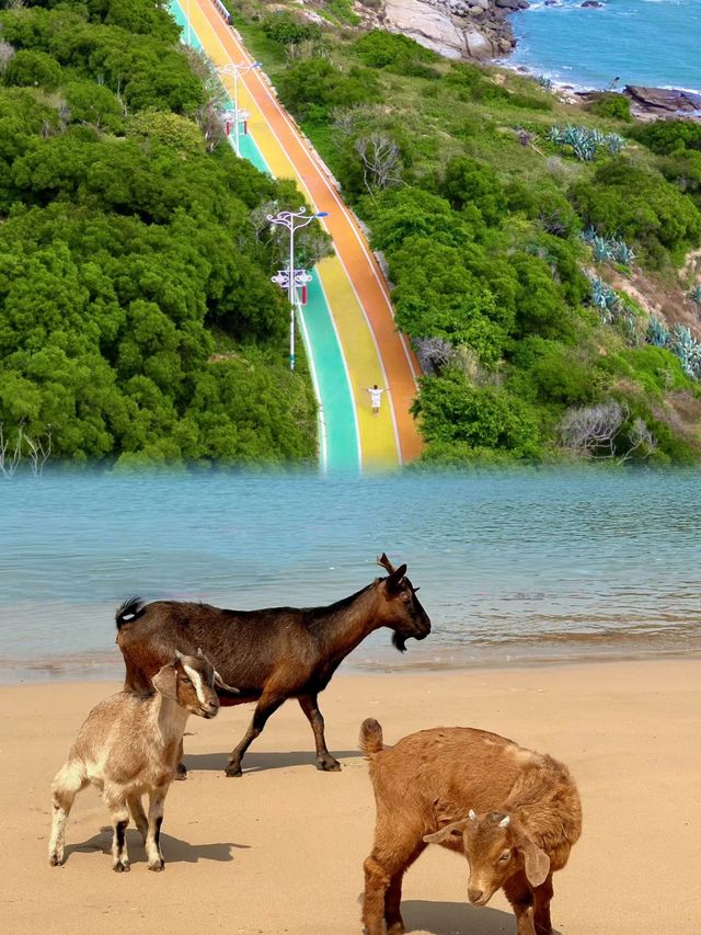 來福建唔好淨係去泉州，強烈推薦呢個海島。