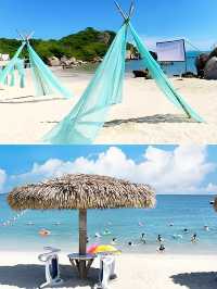 開車直達!!我太愛這片玻璃海了!露營趕海。