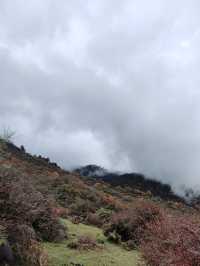 千人奔赴～臥龍川北營參加徒步登山節。