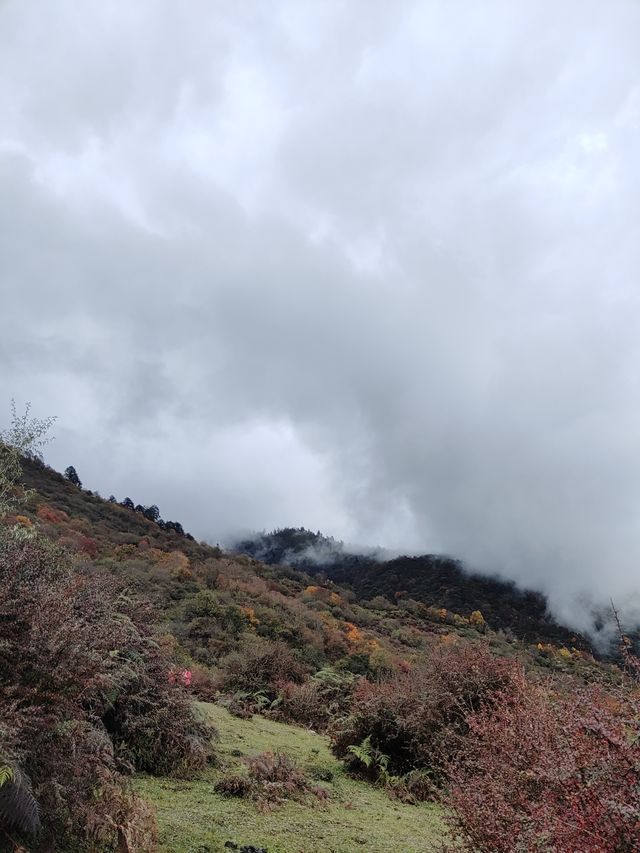 千人奔赴～臥龍川北營參加徒步登山節。