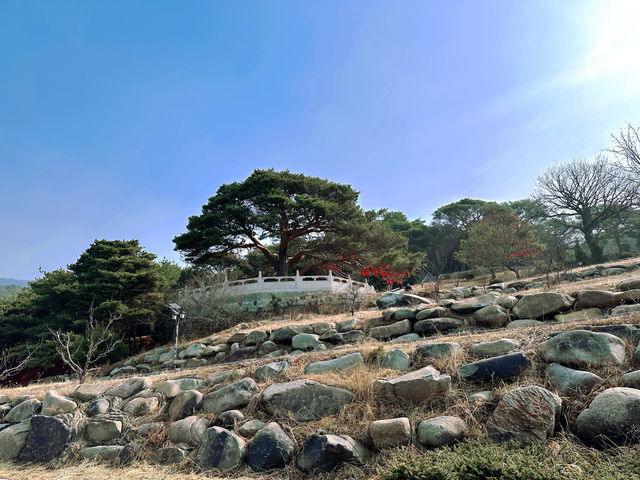 延吉·東來寺 | 一場心靈的禪意之旅。