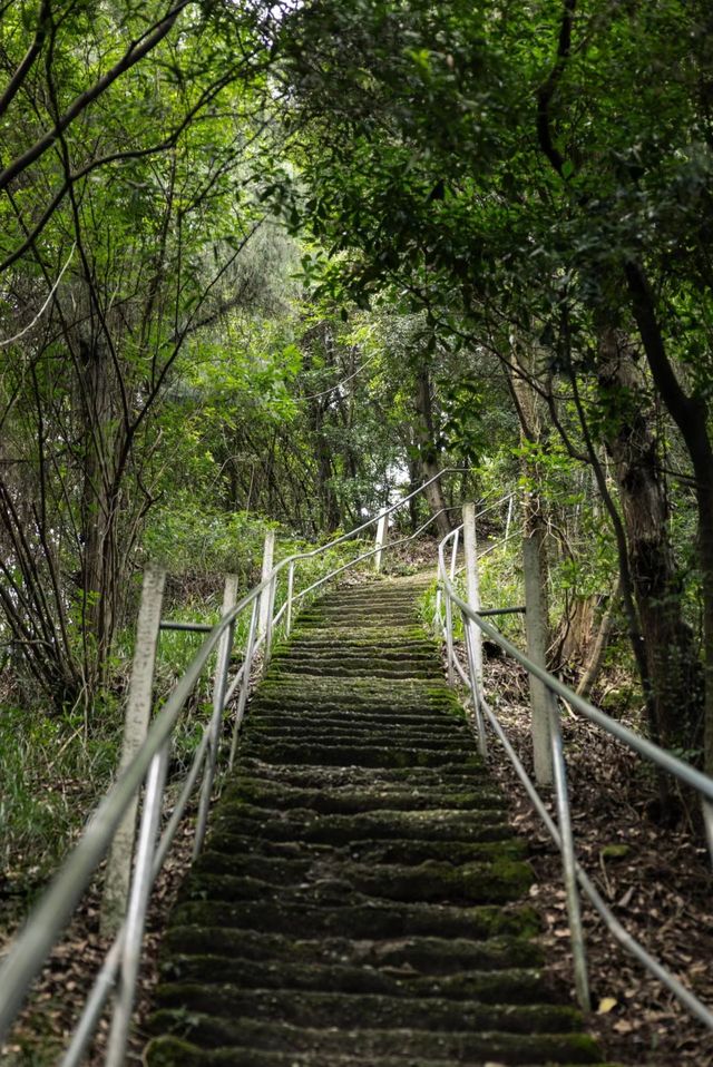 又是一條少有人知的小眾地。